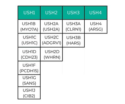Usher Syndrome Genetics